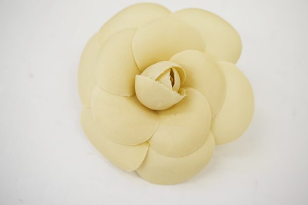 シャネルカメリア(2)