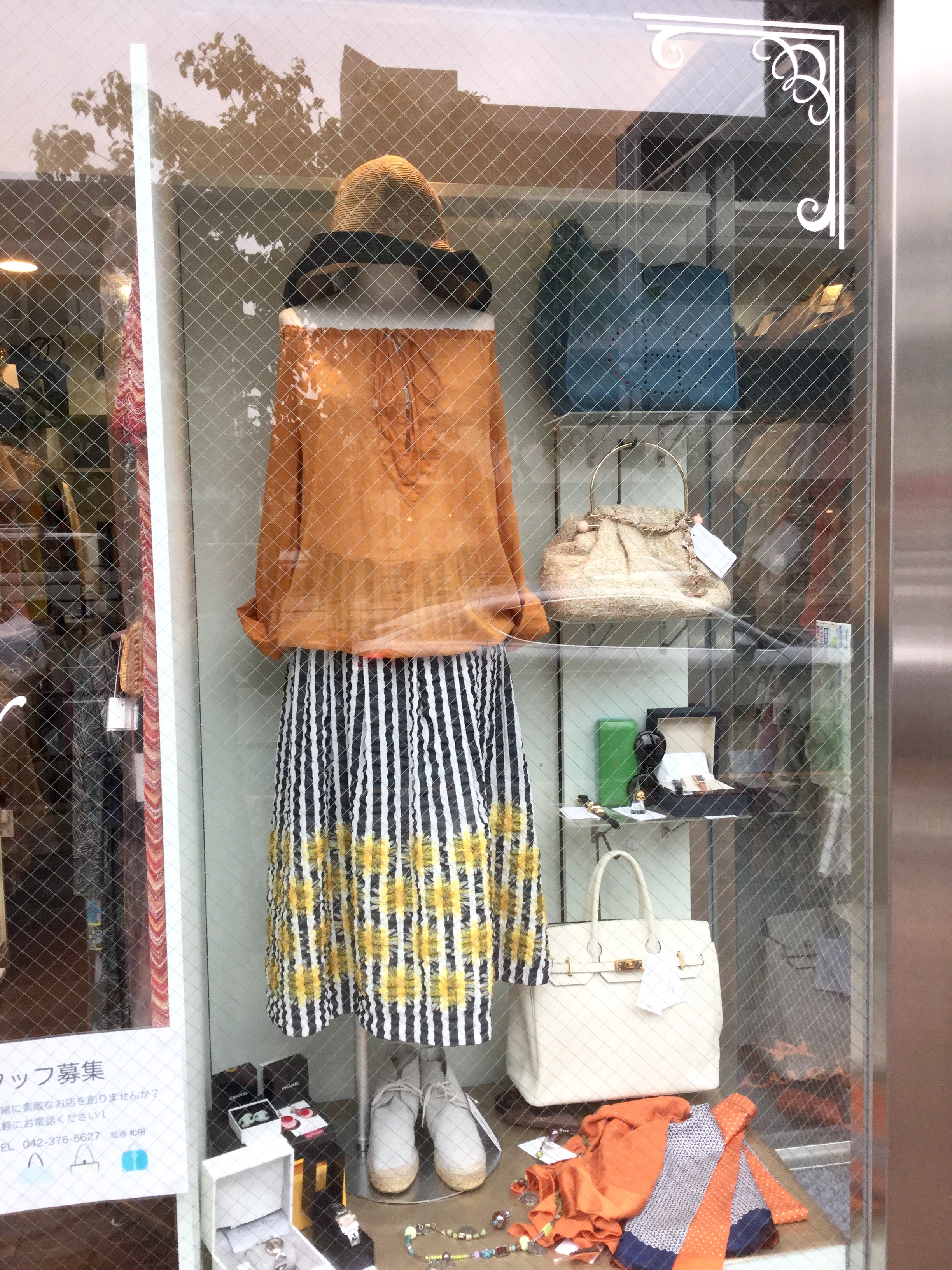 白金台店より、本日のディスプレイ便り